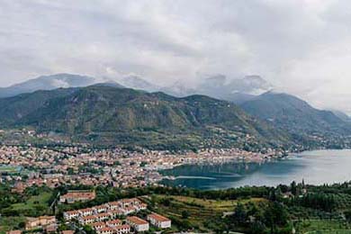 Aster选手伤病恢复良好，aster阵容