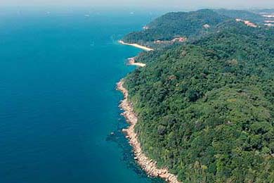 EDG年轻选手晋升主力阵容，edg年轻选手晋升主力阵容名单